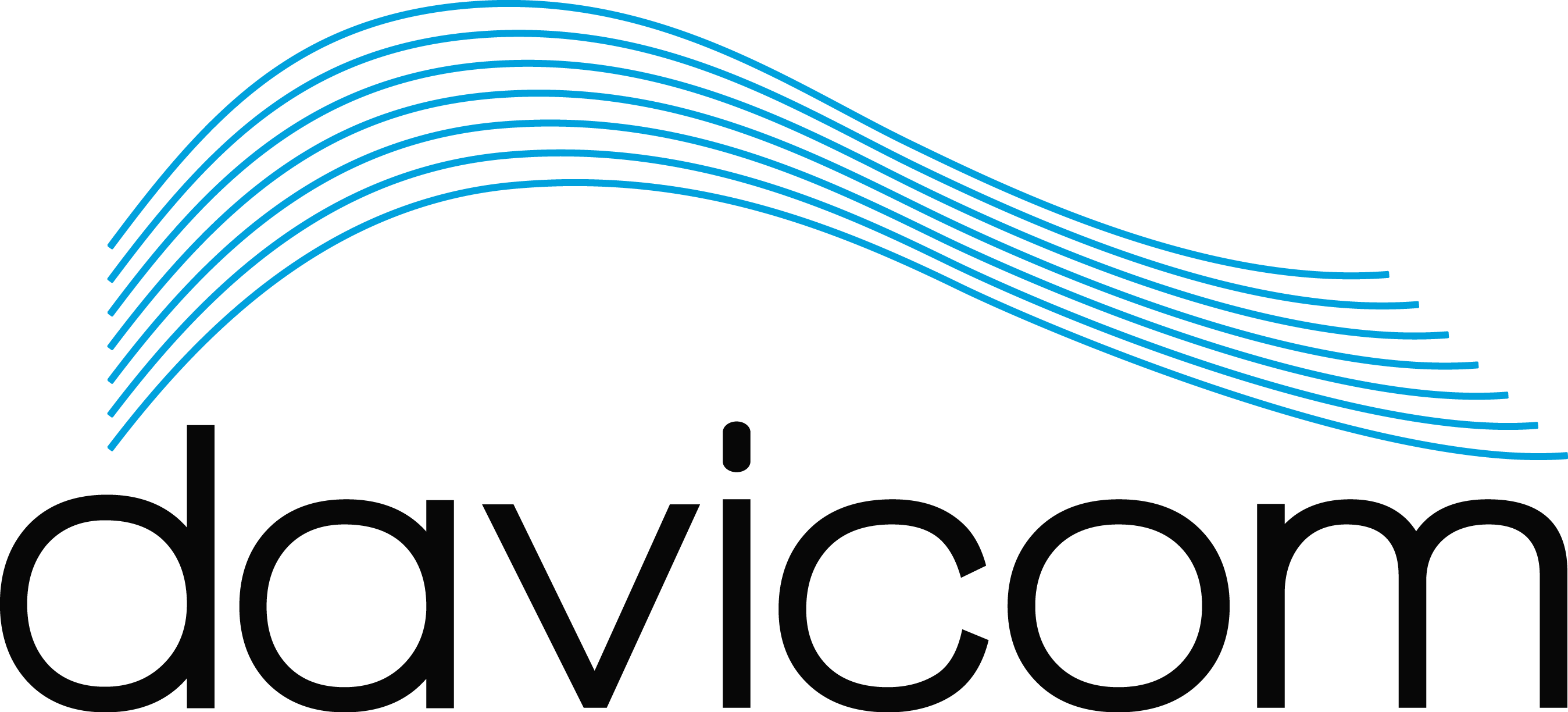 Davicom Semiconductor Inc logo