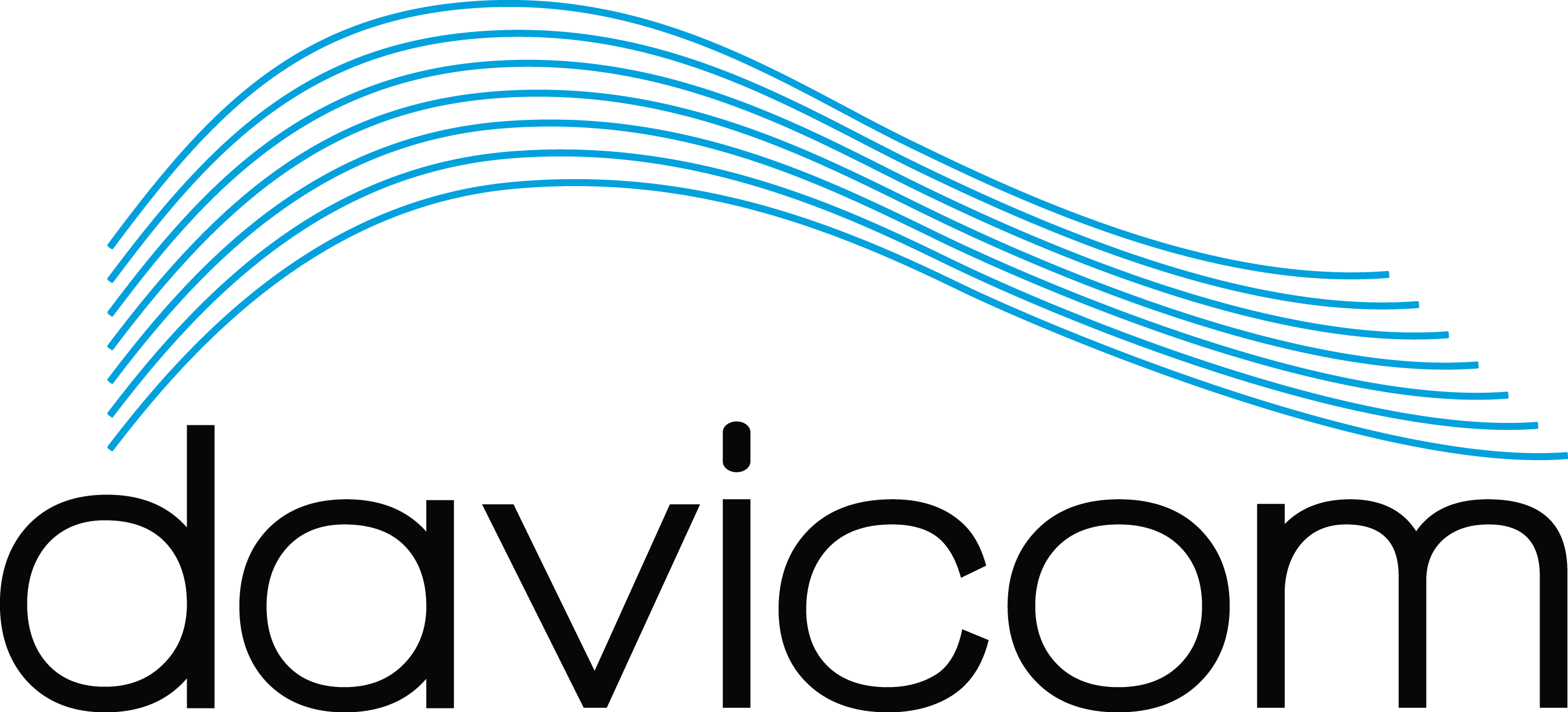 Davicom Semiconductor Inc logo